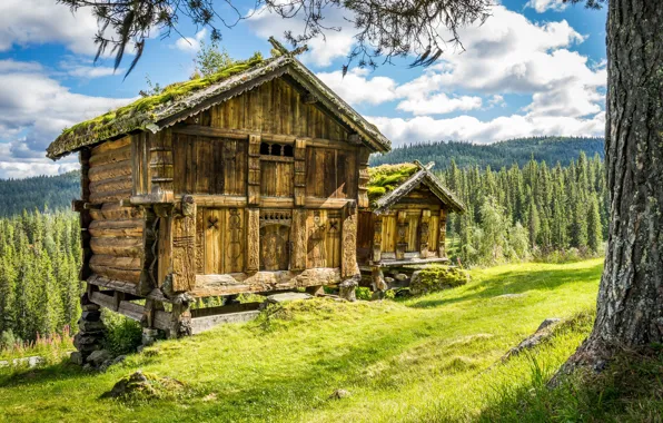 Картинка лес, Норвегия, домик, Norway, Telemark Fylke, Grimstøyl
