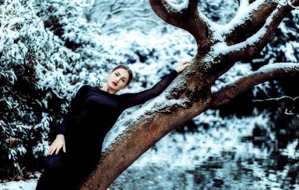 Картинка зима, девушка, поза, дерево, настроение, фигура, платье, Andreas-Joachim Lins, Sophie-Mojo Powers