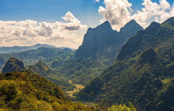 Картинка лес, небо, солнце, облака, деревья, горы, скалы, высота, долина, ущелье, Laos