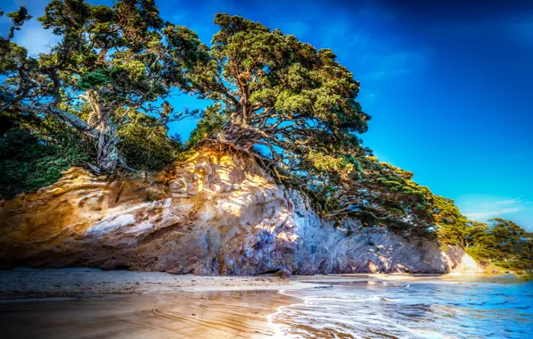 Картинка море, небо, деревья, скалы, побережье, HDR, Новая Зеландия, trees, coast, New Zealand, crag, Tasman