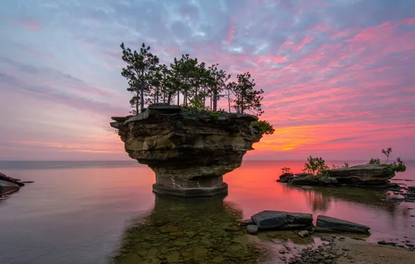 Картинка море, небо, деревья, закат, камни, скалы, побережье, горизонт, зарево, США, Michigan, Pointe aux Barques