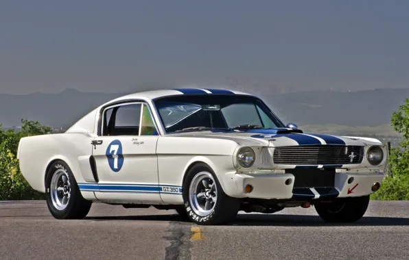 Картинка white, Ford Mustang, muscle car, Shelby GT350R, 1965.