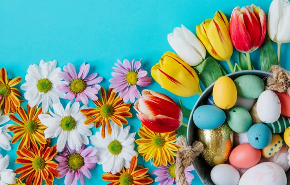 Картинка цветы, ромашки, весна, colorful, Пасха, тюльпаны, хризантемы, flowers, tulips, spring, Easter, eggs, decoration, Happy, яйца …