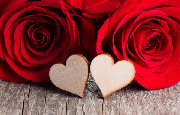 Картинка любовь, цветы, сердце, розы, лепестки, пара, red, love, heart, flowers, romantic, Valentine's Day, petals, roses