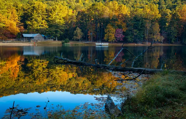 Картинка осень, лес, солнце, деревья, озеро, парк, берег, США, Georgia, Lake Trahlyta