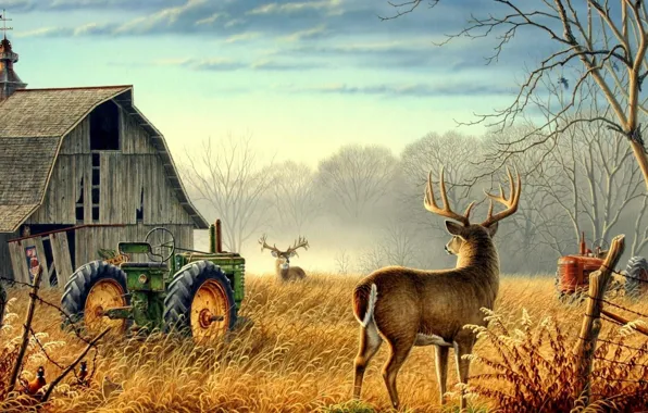 Картинка Nature, trees, animals, birds, fog, mood, deer, barn, farm, mist, fences