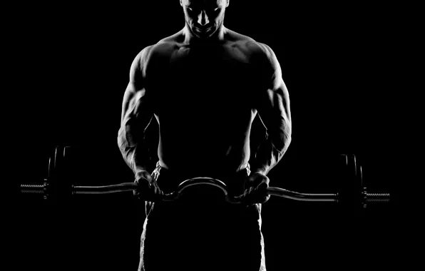 Картинка тень, фигура, железо, muscle, мышцы, штанга, фон black, muscles, атлет, Bodybuilding, бодибилдер, training, weight, bodybuilder, …