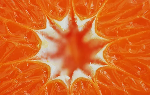 Картинка апельсин, еда, фрукт, цитрус