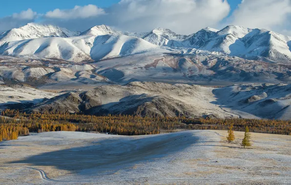 Картинка горы, Алтай, Курайский хребет