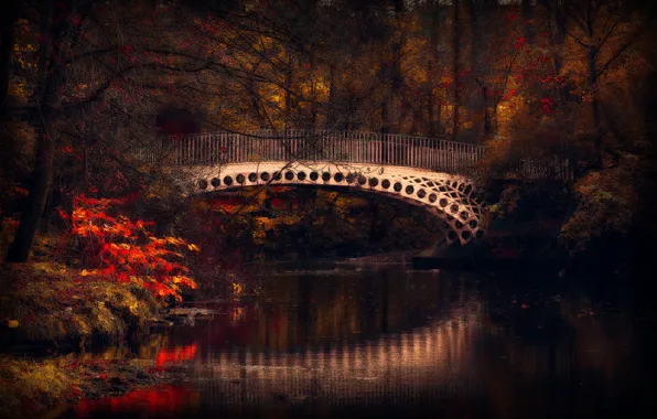 Картинка осень, деревья, красота, речка, мостик
