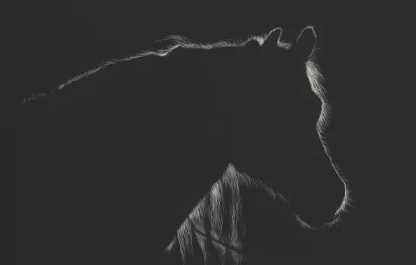 Картинка лошадь, силуэт, by shonechacko