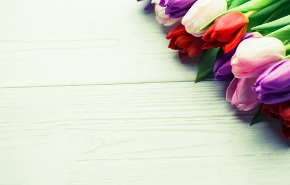 Картинка цветы, букет, colorful, тюльпаны, red, white, wood, flowers, tulips, spring, purple