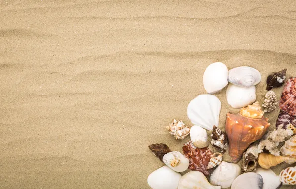 Картинка песок, пляж, природа, ракушки, маре