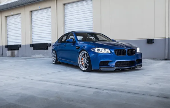 Картинка BMW, Blue, F10, Sight, LED