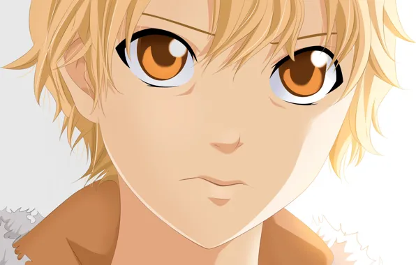 Картинка anime, boy, blonde, manga, Noragami, Yukine, japonese, by claudiadragneel