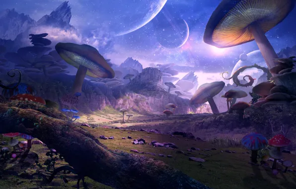 Картинка грибы, планеты, арт, фэнтЕзи