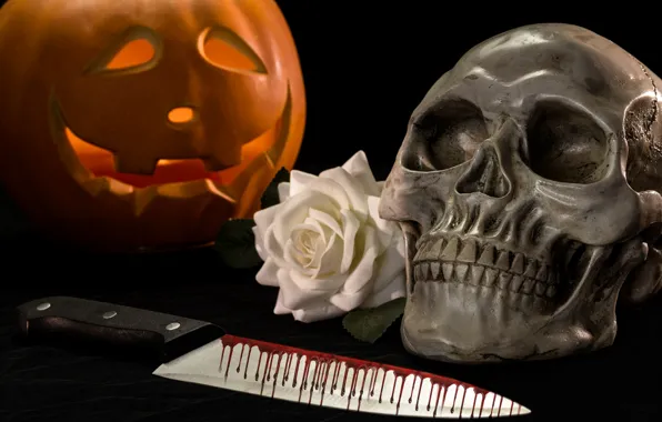 Картинка кровь, роза, череп, нож, тыква, Хеллоуин