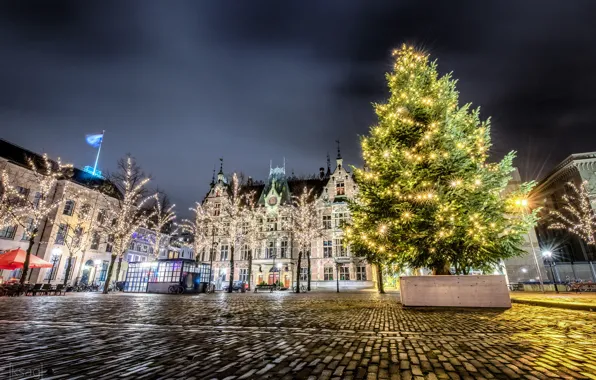 Картинка деревья, ночь, огни, праздник, дома, площадь, Рождество, Новый год, ёлка, Нидерланды, гирлянды, Hague