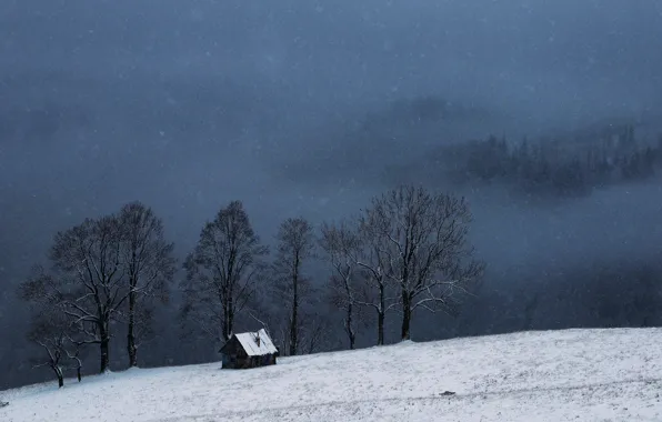 Картинка зима, снег, деревья, природа, домик