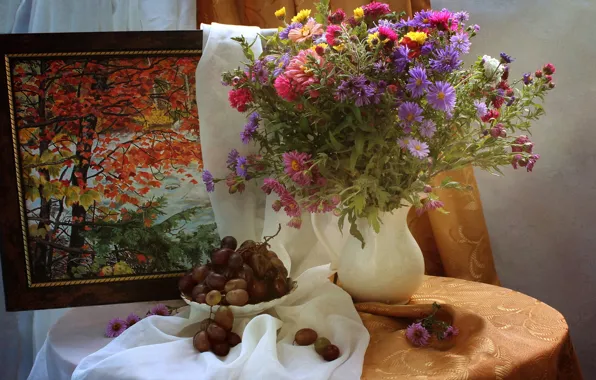 Картинка цветы, стол, картина, тарелка, виноград, ваза, натюрморт, штора, хризантемы, занавеска, астры
