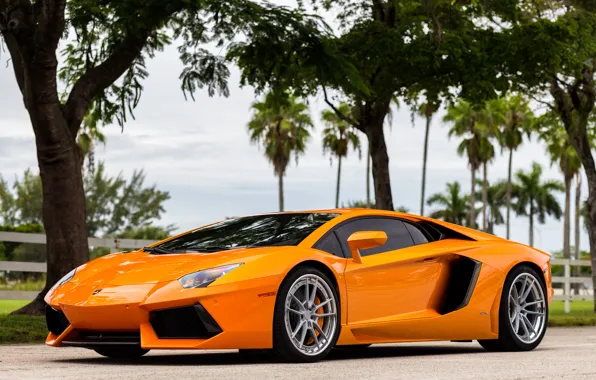 Картинка Lamborghini, Aventador, Wheels, ANRKY