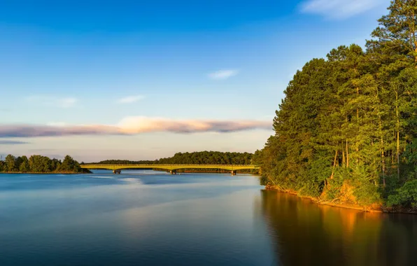 Картинка лес, мост, озеро, Georgia, Джорджия, West Point Lake, Mooty Bridge