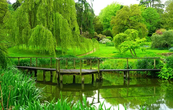 Картинка лето, деревья, парк, река, Англия, мостик, trees, park, bridges, England, sezincote