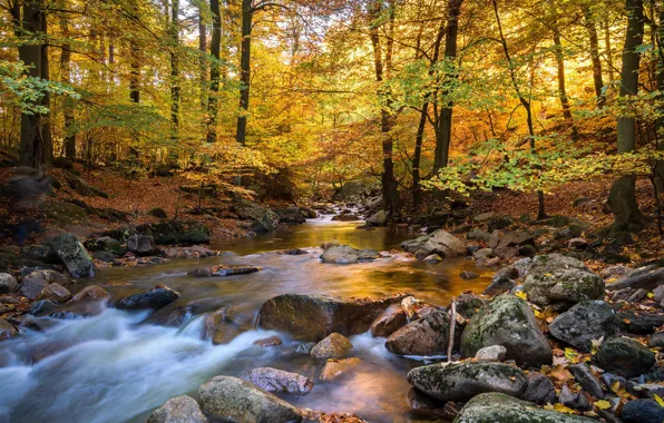 Картинка осень, пейзаж, природа, река, поток
