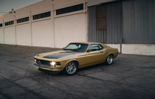 Картинка Mustang, Ford, Performance, Wheels, HRE, Bronze