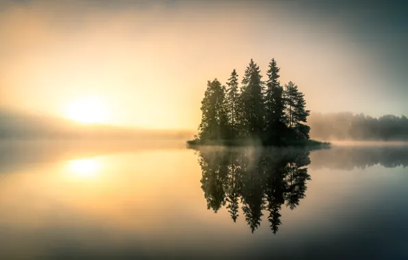 Картинка природа, туман, озеро, утро