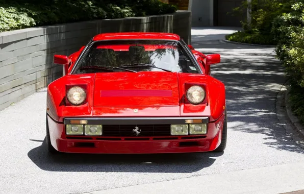 Картинка Red, GTO, 1984, Supercar, Ferrari 288