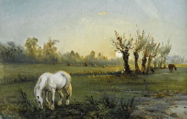 Картинка пейзаж, картина, Camille Pissarro, Камиль Писсарро, Белая Лошадь на Лугу