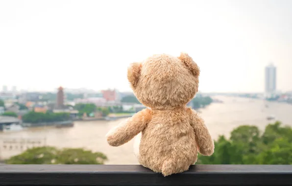 Картинка мост, city, город, река, игрушка, медведь, river, bear, bridge, view, teddy, одинокий, lonely