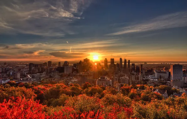 Картинка осень, небо, солнце, деревья, река, рассвет, дома, Канада, Монреаль, мегаполис, Montreal