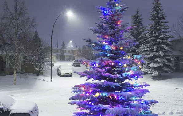 Картинка зима, снег, огни, елка, новый год, гирлянды