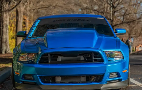 Картинка Mustang, Ford, автомобиль, передок