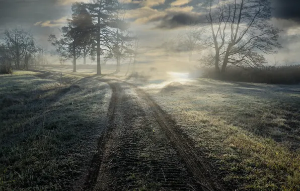 Картинка дорога, свет, туман, утро