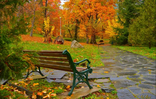Картинка Скамейка, Fall, Autumn