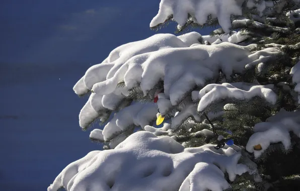 Картинка снег, елка, новый год, гирлянды
