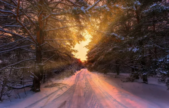 Картинка зима, дорога, лес, закат, Aleksei Malygin