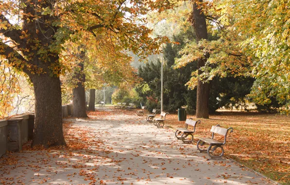Картинка осень, город, парк, Прага
