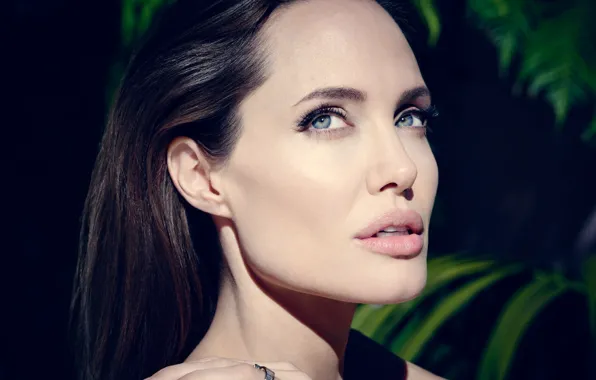 Картинка портрет, актриса, Angelina Jolie