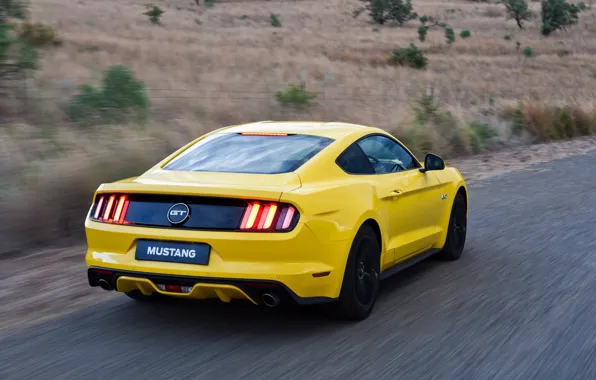 Картинка Ford Mustang, Speed, Fastback, Road