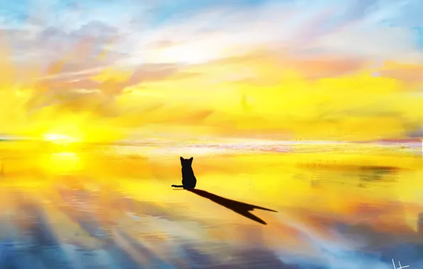 Картинка море, кошка, солнечные лучи