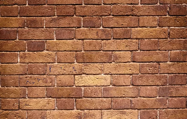 Картинка wall, pattern, Bricks