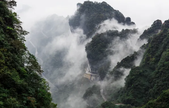 Картинка дорога, лес, облака, деревья, горы, туман, растительность, изгибы, Китай, серпантин, КНР, провинция Хунань