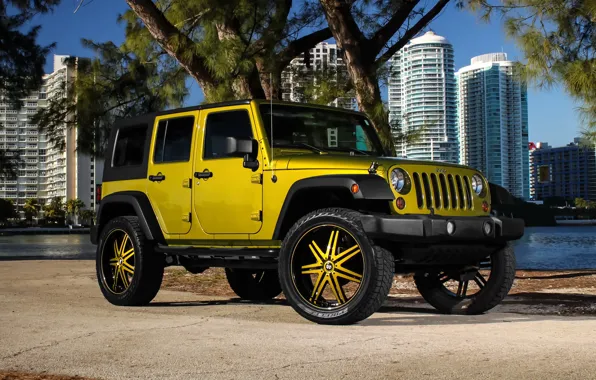 Картинка color, Wrangler, Jeep, kit, suspension, lift, wheels., Status