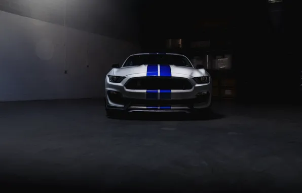 Картинка Mustang, Ford, Shelby, Blue, White