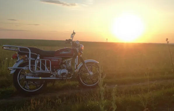 Картинка поле, лето, солнце, пейзаж, закат, природа, мотоциклы, техника, мопед, красиво, мотоцикл, альфа, alpha, мопед альфа, …
