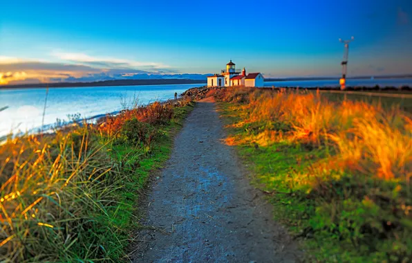 Картинка море, трава, дом, США, штат Вашингтон, маяк Вест-Пойнт